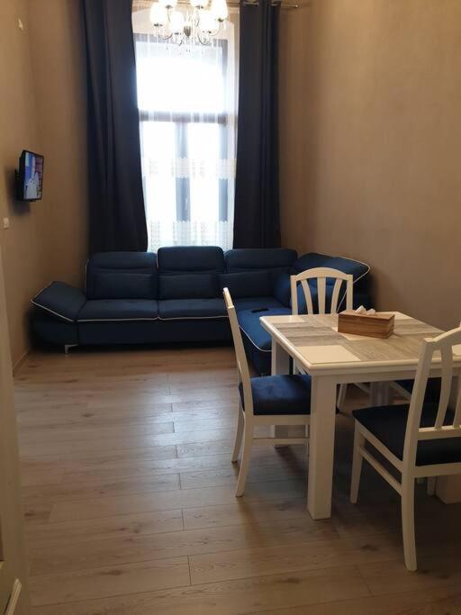 Apartment Ultracentral. Arad