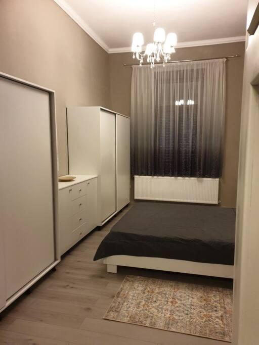 Apartment Ultracentral. Arad